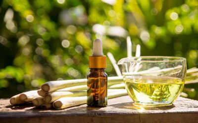 Lemongrass Essential Oil: A Winter Wellness Powerhouse for Everyday Health
