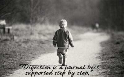 Your Liver & Your Gut: Why This Powerful Partnership Matters More Than You Think